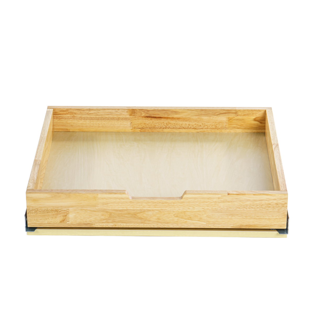 Rollout Shelf System 36